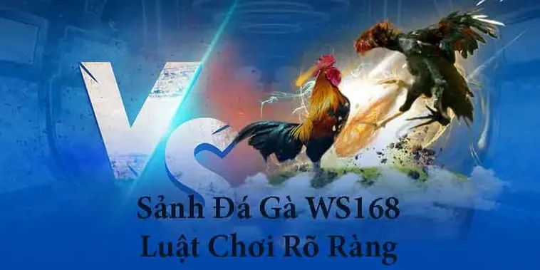 Hướng Dẫn Cách Chơi Đá Gà WS168 Tại P3 Một Cách Hiệu Quả Và Chuyên Nghiệp 2 Hướng Dẫn Cách Chơi Đá Gà WS168 Tại P3 Một Cách Hiệu Quả Và Chuyên Nghiệp
