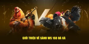 Hướng Dẫn Cách Chơi Đá Gà WS168 Tại P3 Một Cách Hiệu Quả Và Chuyên Nghiệp